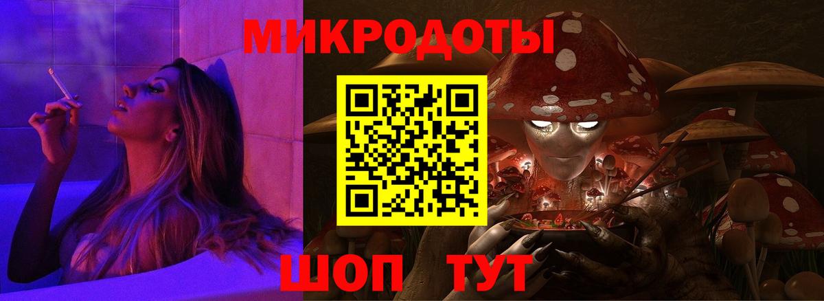 Большой Камень  Псилоцибиновые грибы мухоморы  Вход с VPN 